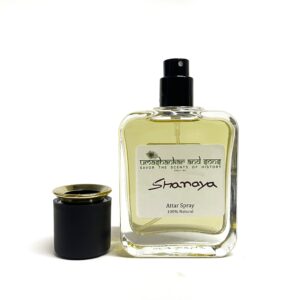 prayag perfume – a sacred harmony of earth, rain & spiritual essence made with multiple natural attars | long lasting | signature earthy floral scent | for men & women (copy)