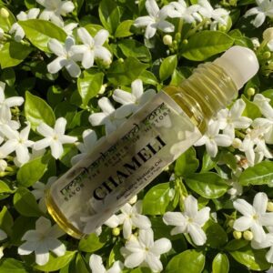 chameli temple fragrance | alcohol free attar | unisex | inspired by vrindavan’s sacred temples | 3ml, 5ml, 8ml, 10ml, 25ml