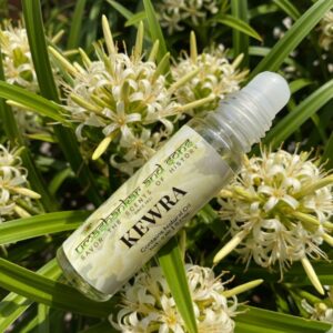 kewra temple fragrance | alcohol free attar | unisex | inspired by vrindavan’s sacred temples | 3ml, 5ml, 8ml, 10ml, 25ml