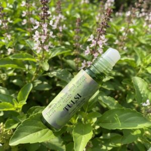 pure tulsi temple fragrance | alcohol free attar | unisex | inspired by vrindavan’s sacred temples | 3ml, 5ml, 8ml, 10ml, 25ml